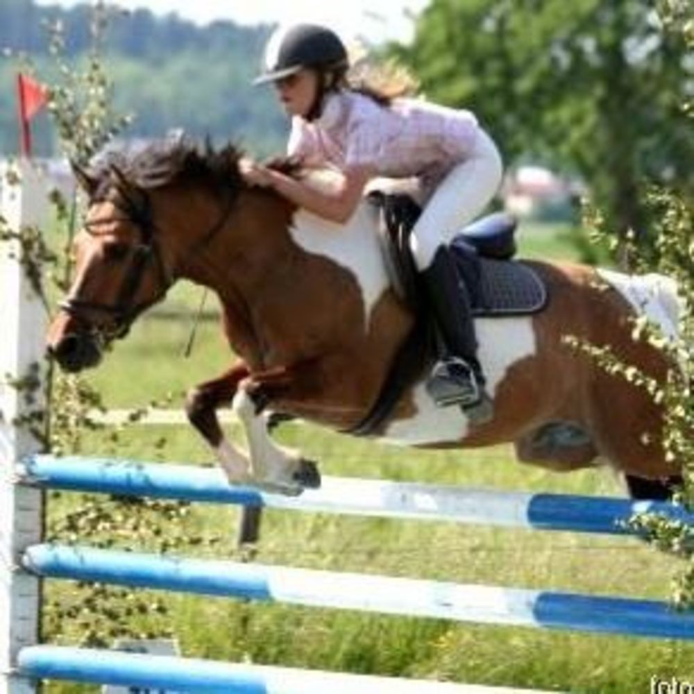 Meet your Posher, Klara